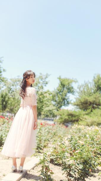 免费观看萝卜大全电视剧韩剧