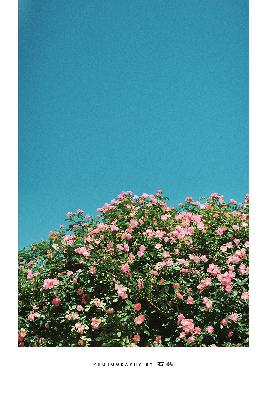 全职法师第7季全集免费观看